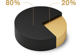 Limohawk: 80% operator / 20% platform